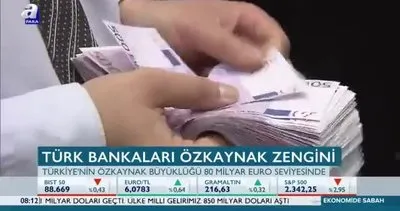 Türk bankaları özkaynak zengini!
