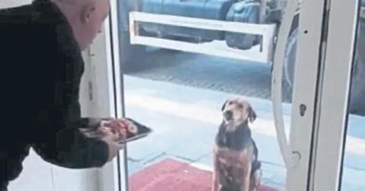 Yeşim’den sonra sıra Nazike’de