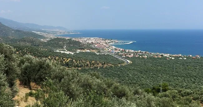 Kaz Dağları Nerede? Kaz Dağları Nereye Bağlı, Haritadaki Konumu Ne, Hangi İlde Ve Nasıl Gidilir?