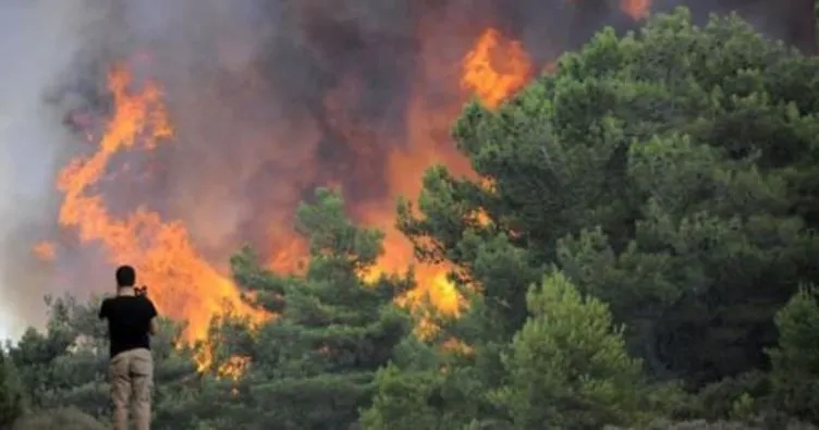 Antalya’da ormanlık alanda yangın!
