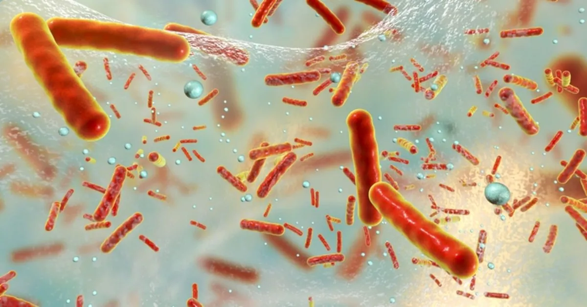 frengi ne demek frengi bel soguklugu