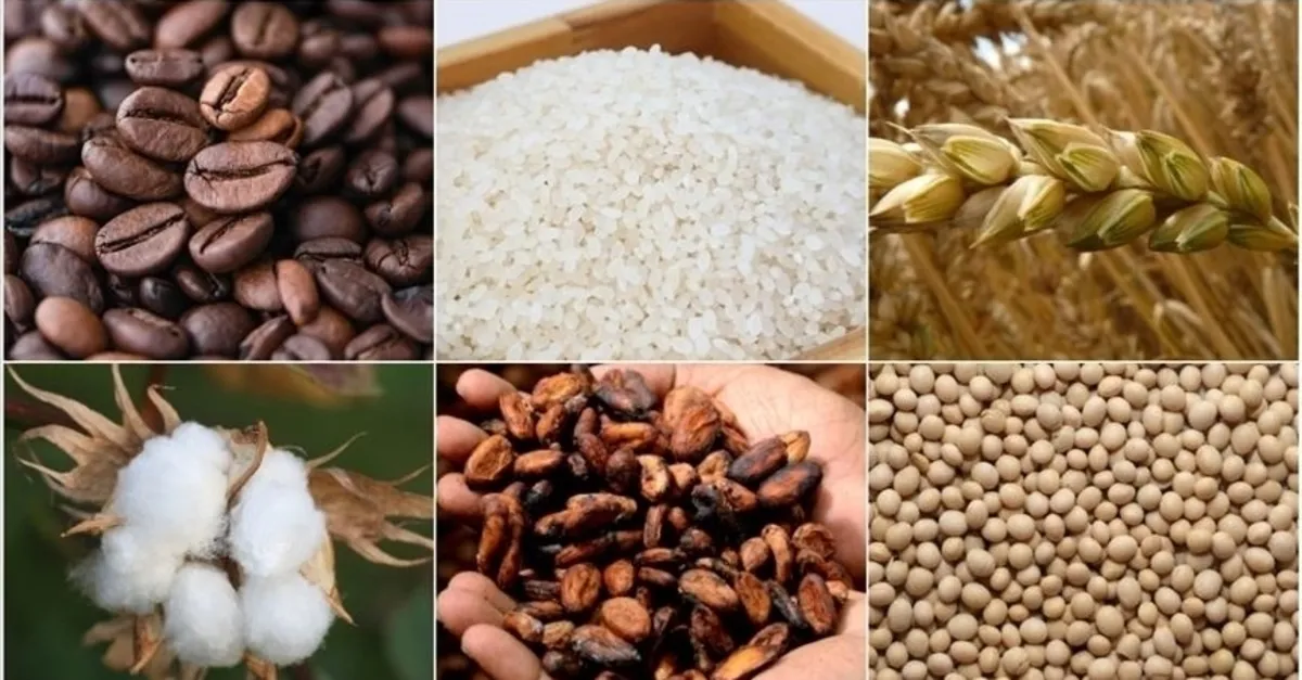 Emtia piyasaları istihdam verileri sonrasında karışık seyretti Emtia piyasaları istihdam verileri sonrasında karışık seyretti