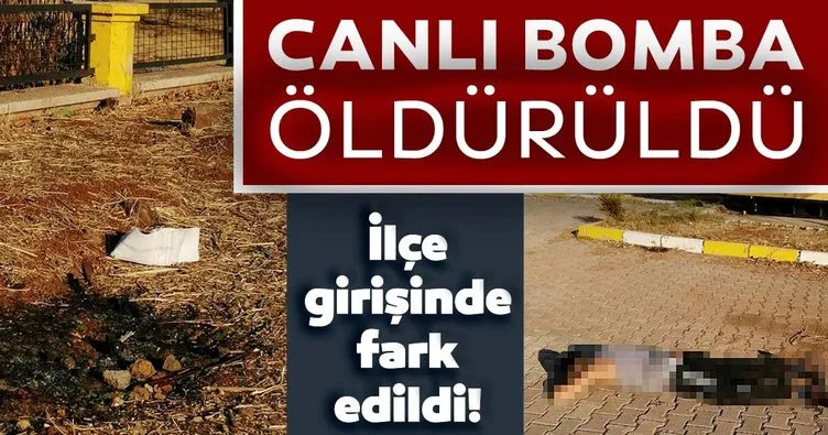 Viranşehir SON DAKİKA haberi - Canlı bomba öldürüldü!