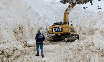 Van’da çığ nedeniyle kapalı olan mezra yolu yeniden ulaşıma açıldı