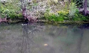 Balık tutmak için girdiği gölde boğuldu