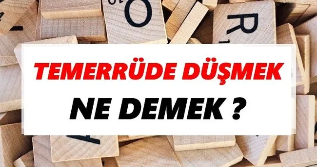 Temerrüde düşmek Ne Demek? TDK’ya Göre Temerrüde düşmek Sözlük Anlamı Nedir?