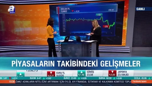 Normalleşme adımları dövize nasıl yansıdı?