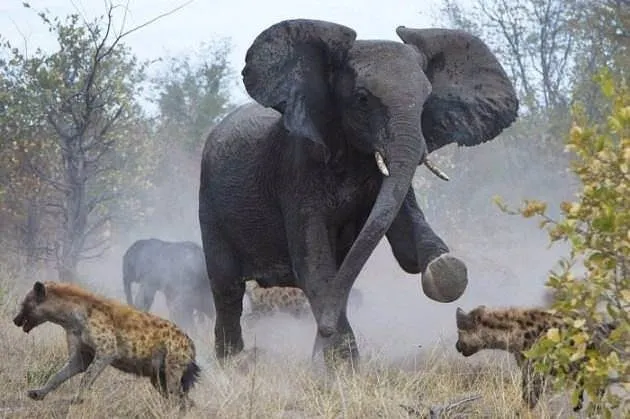 Anne filin müthiş mücadelesi