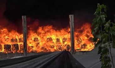SON DAKİKA: Adana’da korkutan yangın! Geri dönüşüm fabrikası alevler içinde kaldı