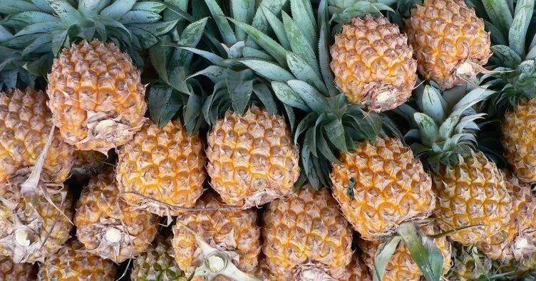 Bağışıklık sistemini güçlendirmekten kilo vermeye kadar ananasın 7 faydası
