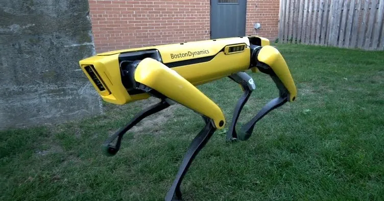 Boston Dynamics’ten her yıl 1000 robot köpek