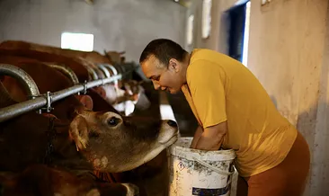 Yatalak denilebilecek boyuttaydı hayvancılık onu hayata yeniden bağladı! 43 yaşındaki kadın: Onlar benim parçam...