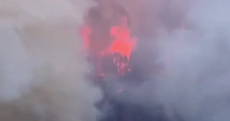 Muğla’da havalimanı yakınlarında yangın