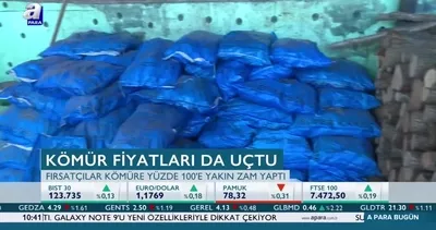 Fırsatçıların yeni hedefi kömür!