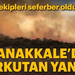 Son Dakika: Çanakkale'de korkutan orman yangını!