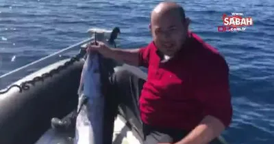 KKTC’de yakalanan 40 kiloluk dev kılıç balığı görenleri şaşırttı | Video