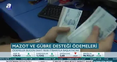 Destek ödemeleri başlıyor