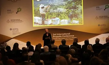 Propolis her derde deva