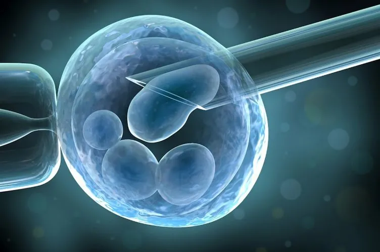 Embriyo biyopsisi sayesinde çocuk sahibi olacaklar