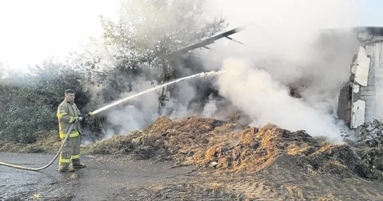 Binlerce balya saman kül oldu