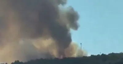 Dülükbaba Ormanı'nda yangın: Gaziantep'in ciğerleri yanıyor! #gaziantep