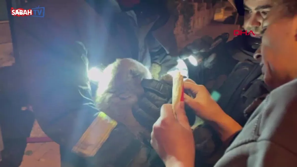 Yangında ayakları yanan kadın ile kedisine, komşuları yanık kremiyle müdahale etti | Video videosunu izle Yangında ayakları yanan kadın ile kedisine, komşuları yanık kremiyle müdahale etti | Video videosunu izle