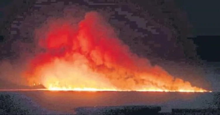 Göksu Deltası’nda 100 dönüm sazlık arazi yandı