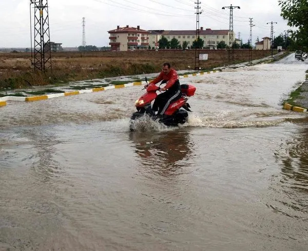 Kumbağ sular altında