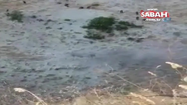 Şehit polisin intikamı böyle alındı