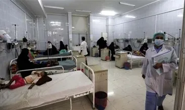 Yemen’de domuz gribinden 8 kişi öldü