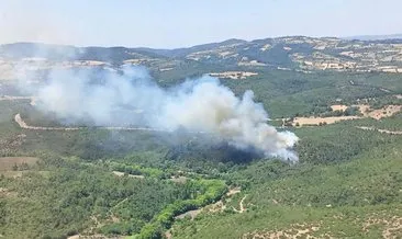 Balıkesir’de ormanlık alanda yangın çıktı