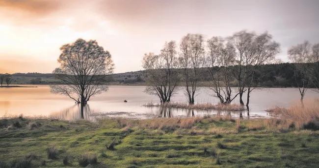 yesil bursa kimligi icin buyuk