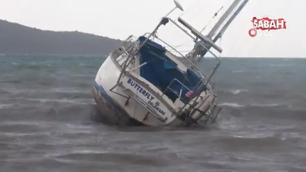 Fırtına tekneyi karaya sürükledi | Video