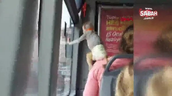 İstanbul'da İETT otobüsünün görenleri şaşırtan sevimli yolcusu kamerada