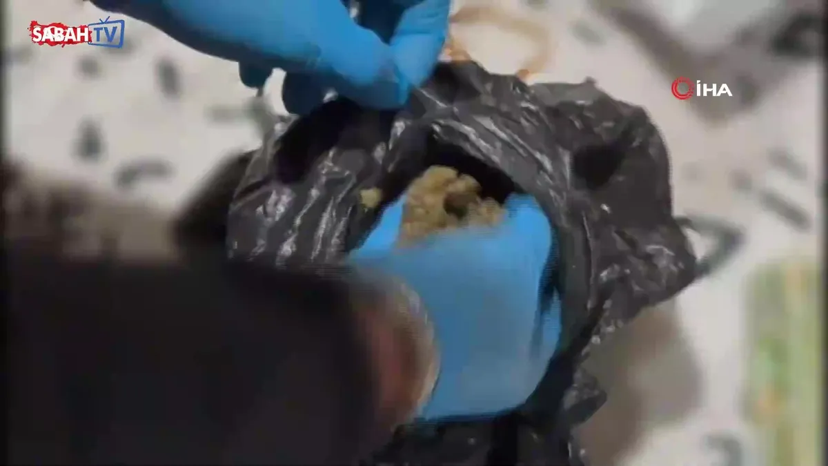 Tefecilere 52 ilde eş zamanlı operasyon: 179 gözaltı | Video videosunu izle Tefecilere 52 ilde eş zamanlı operasyon: 179 gözaltı | Video videosunu izle