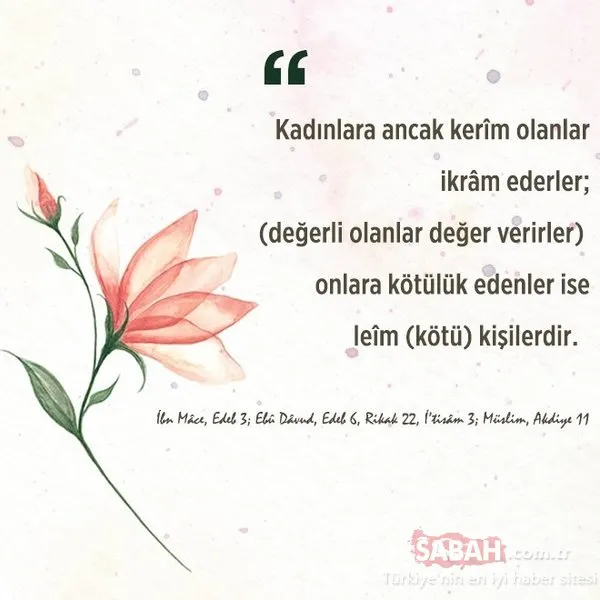 Kalbin Erbaini Tumblr