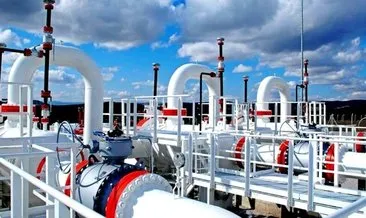 Rusya rubleyi kabul etmeyen ülkelere doğal gazı kesti