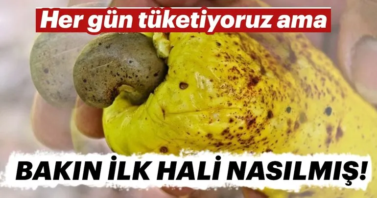 Her gün tüketiyoruz ama bakın ilk hali nasılmış...