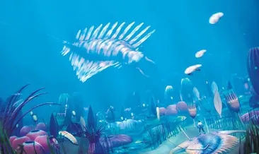 7 24 şehirde yaşam