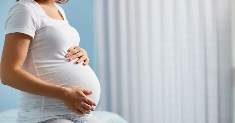 hamilelikte 20 hafta 20 haftalik gebelik gelisimi saglik haberleri