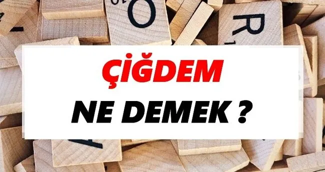 Çiğdem Ne Demek? TDK’ya Göre Çiğdem Sözlük Anlamı Nedir?