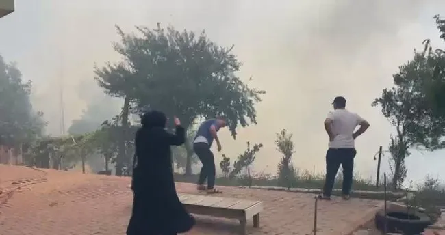 Son dakika: İstanbul Beykoz'da orman yangını: Yerleşim alanına çok yakın!