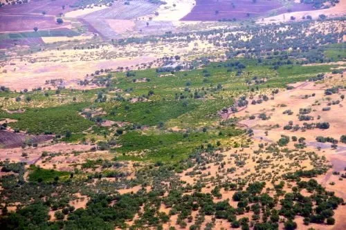 PKK'nın beli kurulduğu ovada büküldü