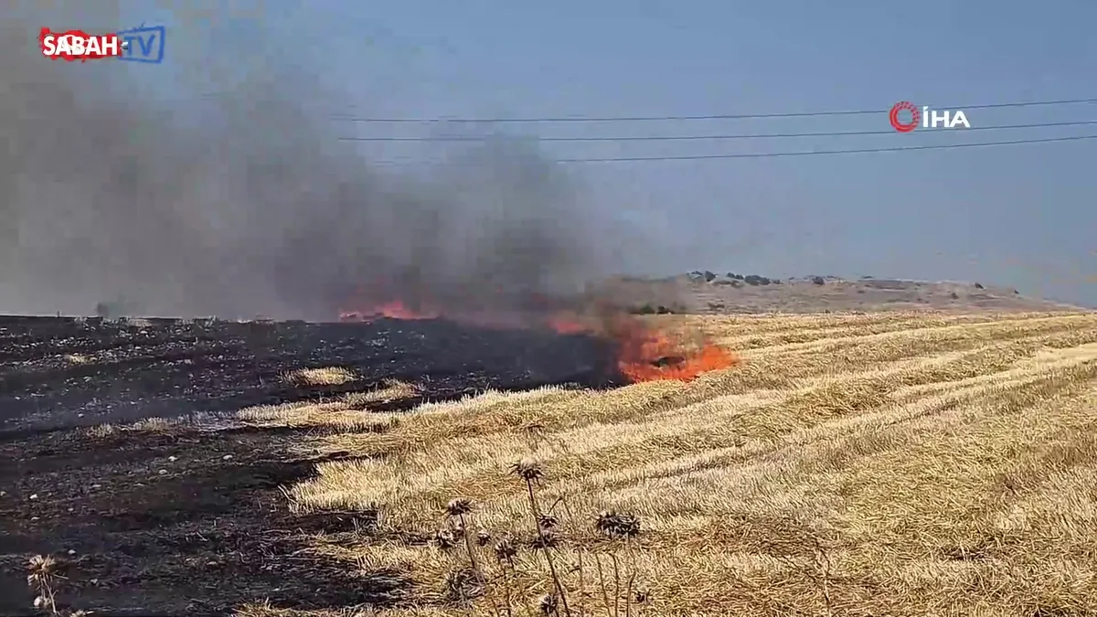 Bandırma’da otluk alanda çıkan yangın, rüzgarın etkisiyle hızlıca yayıldı | Video videosunu izle Bandırma’da otluk alanda çıkan yangın, rüzgarın etkisiyle hızlıca yayıldı | Video videosunu izle