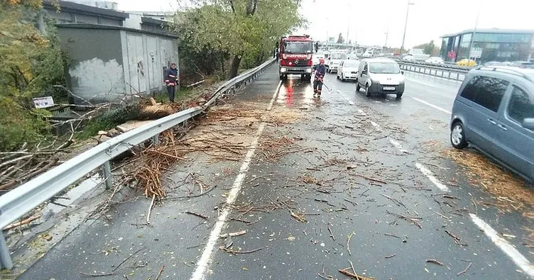 İstanbul’da fırtına nedeniyle otoyola ağaç devrildi