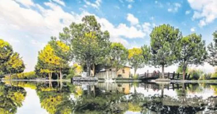 Fotoğraf yarışması sonuçları açıklandı