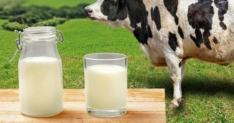 Toplanan inek sütü miktarı nisanda yıllık yüzde 1,8 artarak 890 bin tona yaklaştı