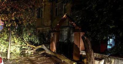 Son dakika: İstanbul’da etkili olan yağış ağaç devirdi! Uçan çatı otomobillerin üzerine düştü...
