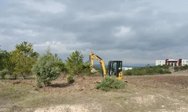 Kampüsteki yurt projesi alanındaki ağaçlar yeni yerlerine taşınıyor
