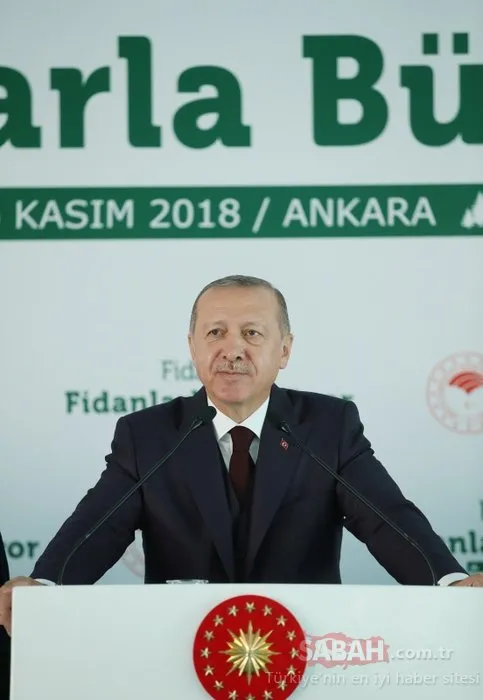 Başkan Erdoğan o projeyi resmen başlattı! 81 ilde milyonlarca fidan toprakla buluşmaya başladı